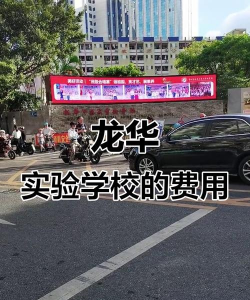 深圳市龙华中英文实验学校