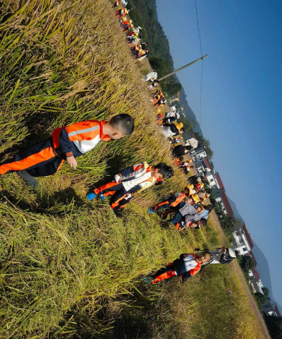 合肥市郊区大圩乡北斗幼儿园