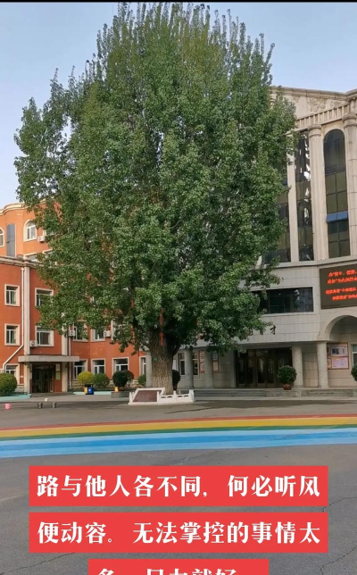 沈阳市和平区河北街第一小学