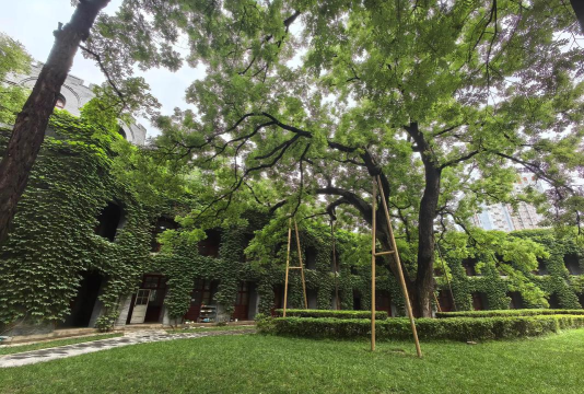 北京市通州区潞河中学附属学校