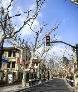 普陀区曹杨新村北六幼儿园