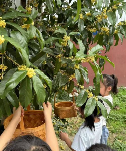 上海市普陀区长风二村幼儿园