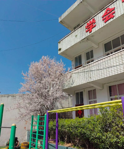 文星镇城北学校