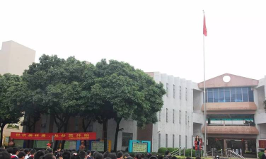 石楼镇中心小学