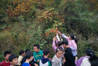 广坪中镇中心小学