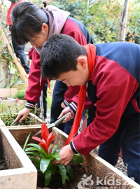 长沙市中岭小学
