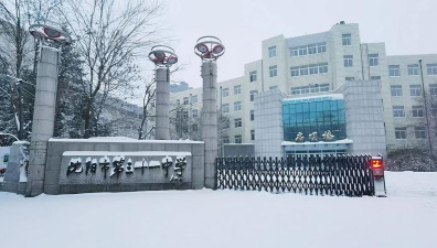 沈阳市第三十一中学