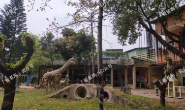 广州番禺区商业幼儿园