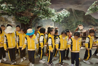 佛山市三水区乐平镇保安小学