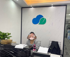 庆阳市西峰区新蓝迪艺术培训学校有限公司