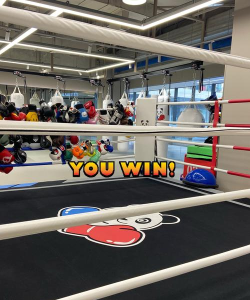 佛山市禅城区培德体育培训有限公司