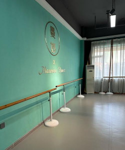 濮阳市梦芭蕾艺术培训有限公司