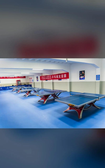 南通爱乒体育培训有限公司