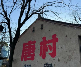 西安市长安区海灵飞天艺术培训学校有限公司王曲分公司