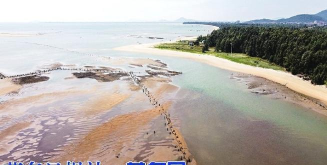 茂名市电白区岭门镇山河小学