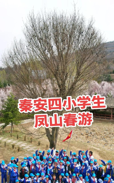 凤山第四小学