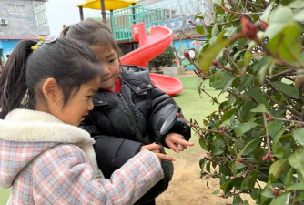 费县芍药山乡西南峪幼儿园