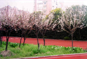 上海市泗塘二中