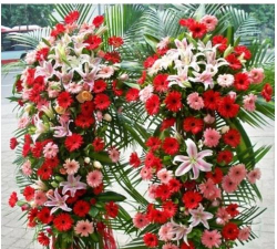 浙江省临安市岛石镇小学