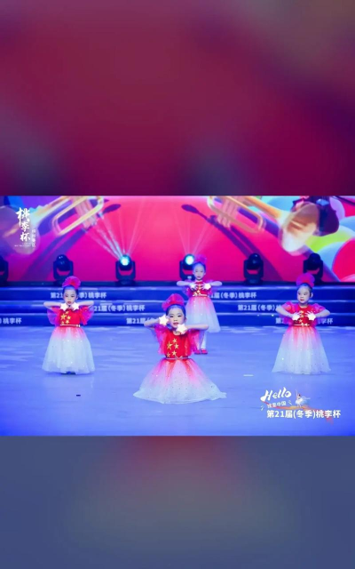 葫芦岛市连山区蓓蕾艺术辅导有限公司