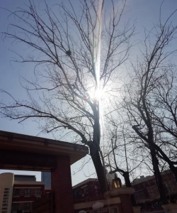 宁波市鄞州区下应街道东裕小学