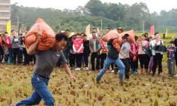 博罗县长宁镇福岗小学