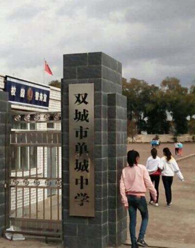 双城市现代中学