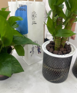 范县大艺艺术培训有限责任公司