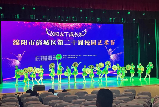 绵阳市涪城区新艺美艺术培训学校有限公司