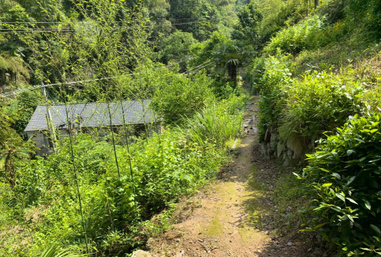 新昌县镜岭镇镜屏中心完小