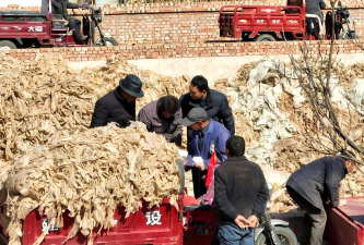 崇信县木林乡幼儿园