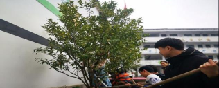 歙县新溪口中心学校溪口小学