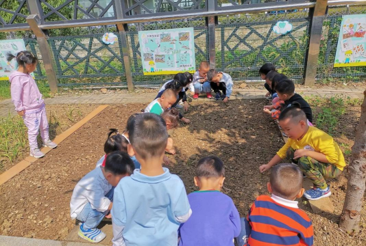 蓬莱市大辛店镇沙沟村幼儿园