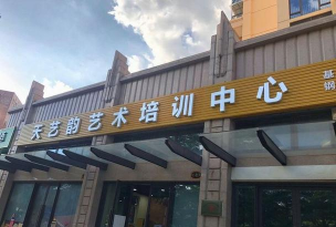 奉新县天艺艺术培训中心有限公司