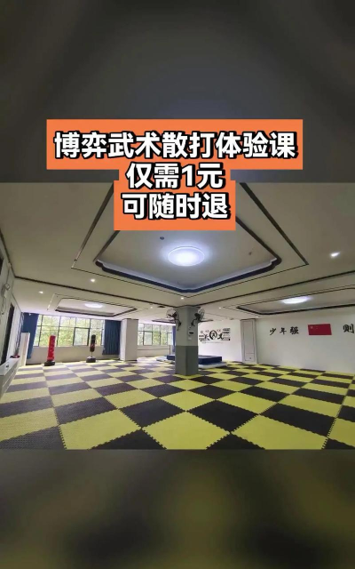 衡阳县博弈武术培训学校有限公司