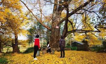 广西桂林市灵川县海洋乡初级中学