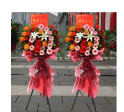 丰都县湛普镇初级中学校