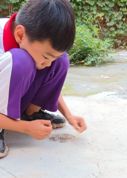 甘霖镇白泥墩小学