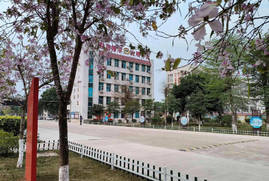 廉江市青平镇铺岭小学长青分教点