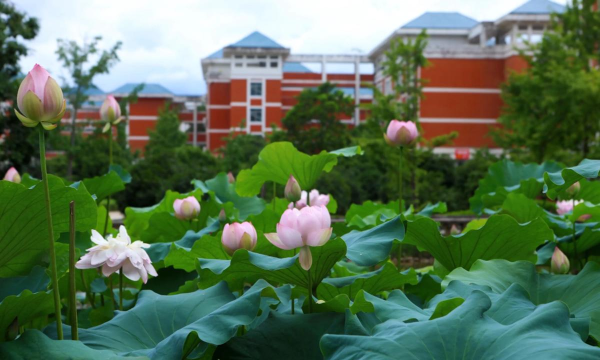 花兰学校