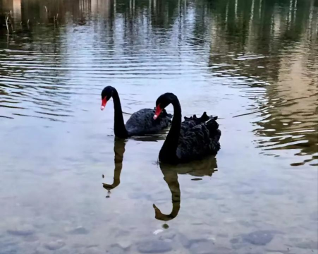 贵阳信息科技学院
