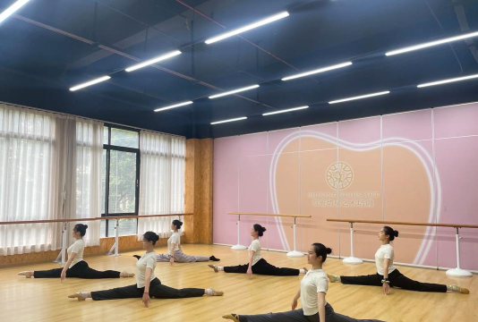 贵溪市星翼舞蹈培训有限公司