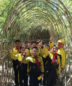青岛市城阳区上马街道王家庄小学