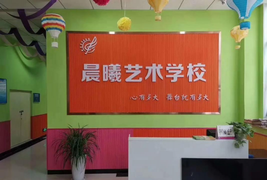 平江县晨艺艺术培训学校有限公司安定镇分校