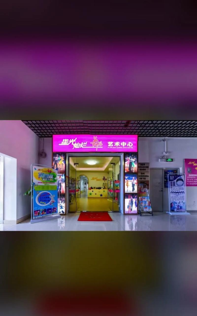 佛山市禅城区星光灿烂艺术培训有限公司