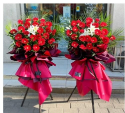 牟定县凤屯乡凤屯小学