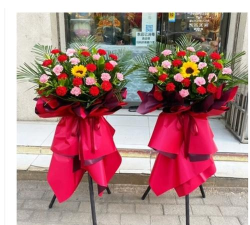 镇赉县建平乡中学校