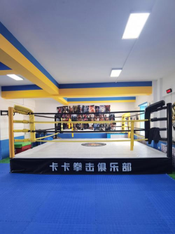 盐城市大丰区功夫王体育培训有限公司