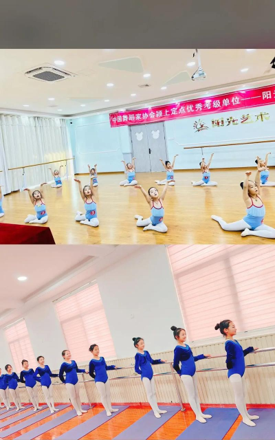 东平县小太阳艺术培训学校有限公司