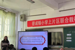 禄丰县碧城镇中心小学